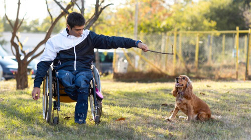 NDIS Animal Support