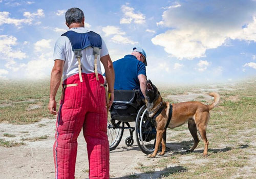 NDIS Service Animal Support