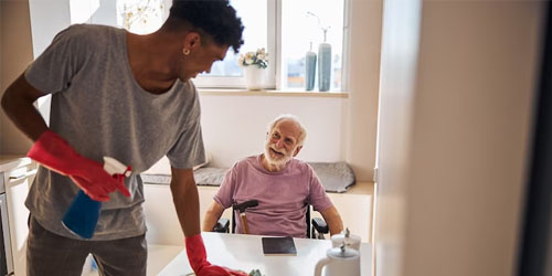 Household Task Assistance